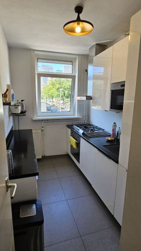 Asingaborg, Amsterdam - Gallery - 10