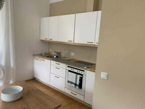 Neutorstraße, Salzburg - Gallery - 7