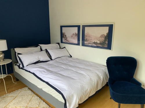 Neutorstraße, Salzburg - Gallery - 6
