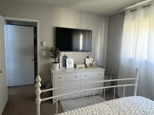 Cute and spacious apartment 