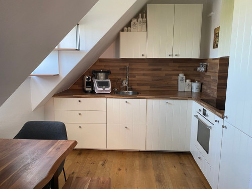 Fully furnished duplex apartment with penthouse flair