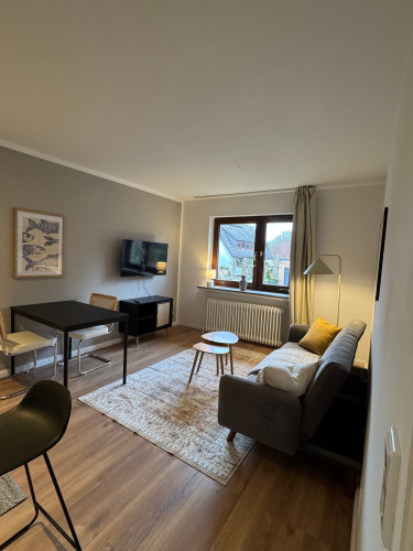 Cozy apartment in the countryside