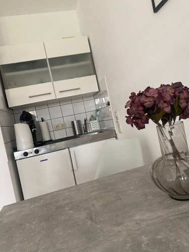 Charming 1 Room Appartement with parking space