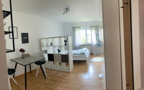 Charming 1 Room Appartement with parking space