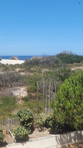 Pleasant 2-bedroom flat in Praia da Barra  - Gallery - 8