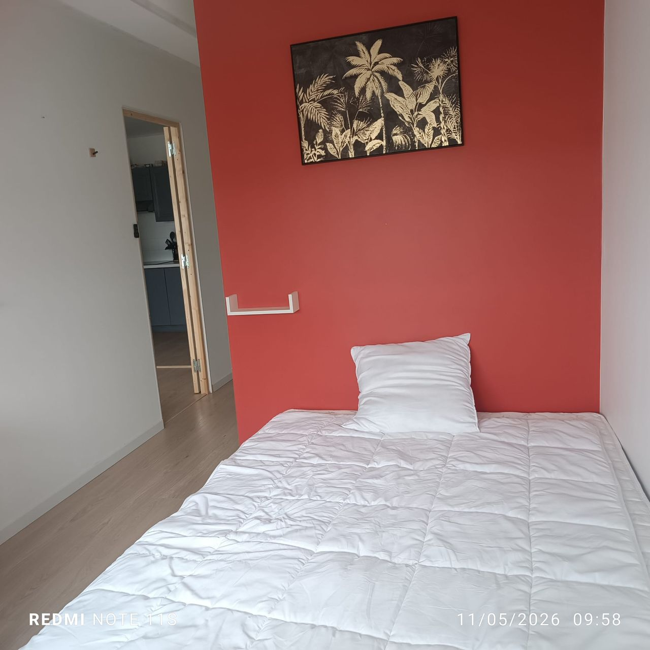 Bright Room in Female Shared Apartment – Nancy City Center - Rooms