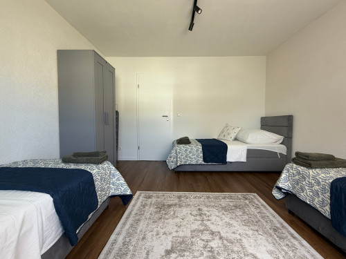 Napa Night – Bright 3-room apartment, 81 sqm, Balcony - Gallery - 6