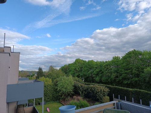 Bright apartment in NB near the airport and the A3 highway; about 15 minutes by public transit to CGN Central Station (flexible from Jan 27) - Gallery - 8