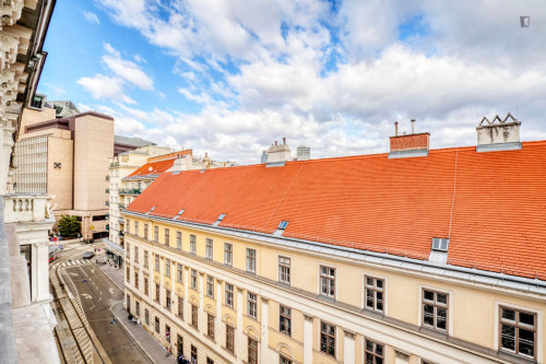 Alluring studio in Landstraße - Gallery - 13