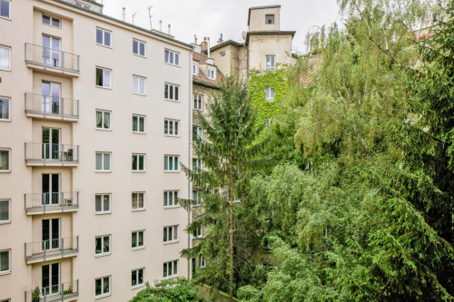 Welcoming 2-bedroom flat near the University of Technology