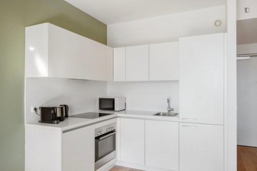 Inviting 1-bedroom flat near the Central European University