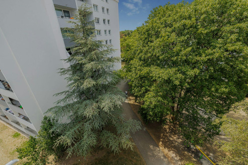 Dachauer Straße, Munich