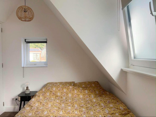 Oudegracht, Alkmaar - Gallery - 6