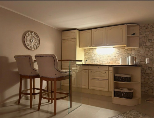 1.5-room apartment with kitchen and bathroom