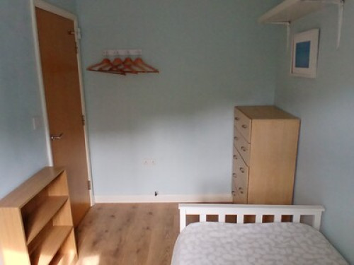 Friendly university lecturer home