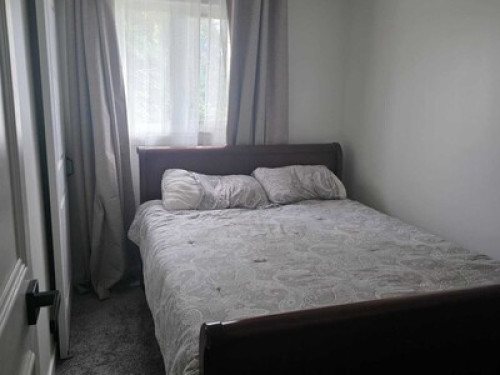 Cozy & Welcoming Edmonton Homestay  - Gallery - 7