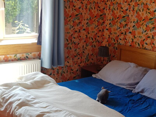 Rooms by the sea - fab location