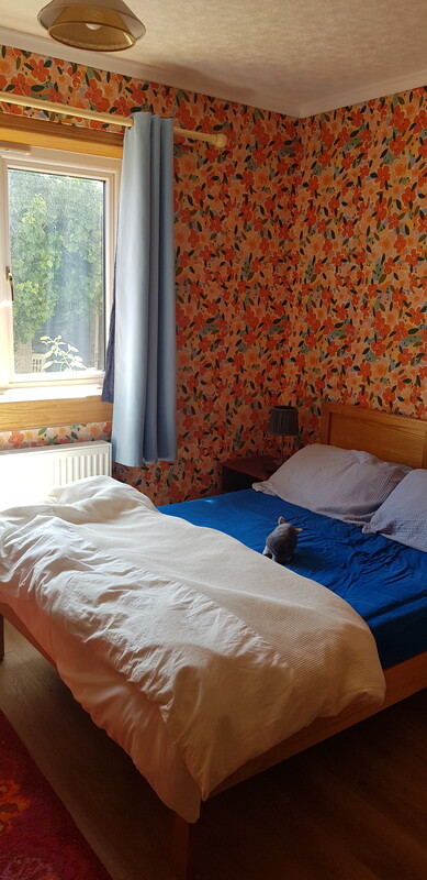 Orange Room(Single Bed) - 1