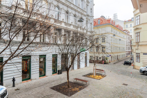 Lovely 1-bedroom flat near the University of Vienna