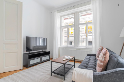 Lovely 1-bedroom flat near the University of Vienna