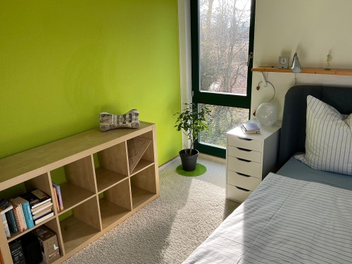 Modern 120 sqm house with study, terrace & parking in Greifswald-Ladebow - Gallery - 7
