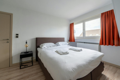 Chaussée de Louvain, Evere - Gallery - 5