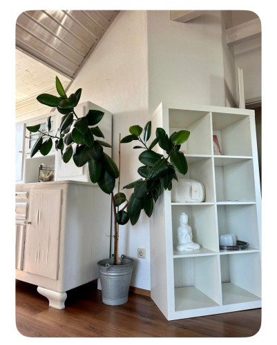 Wunderschönes Appartement auf Zeit - Gallery - 11