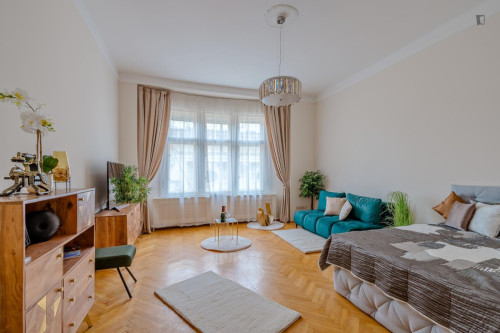 Bright 1-bedroom apartment near Hungarian Parliament - Gallery - 30