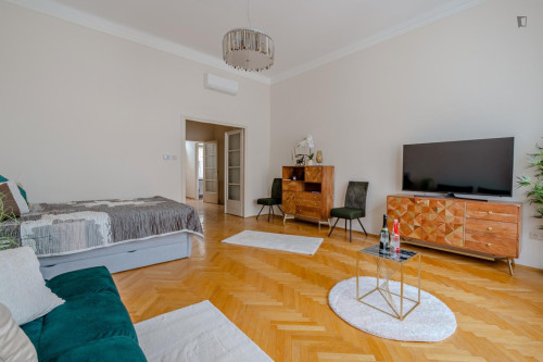 Bright 1-bedroom apartment near Hungarian Parliament - Gallery - 23