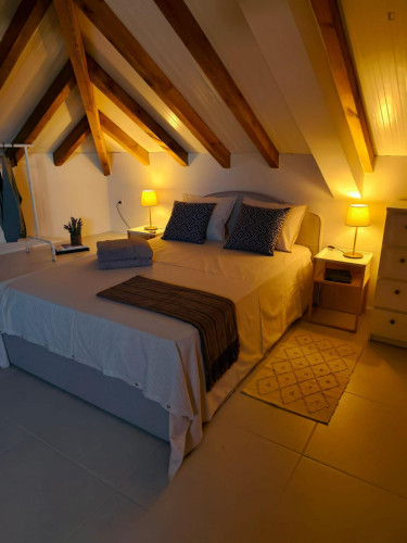 Charming Studio close to  Campanhã Train Station