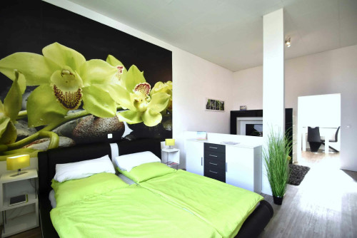 Schulstraße, Raunheim - Gallery - 5