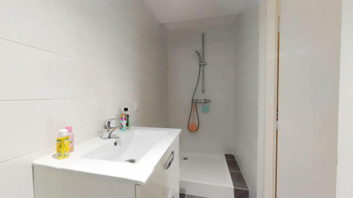 Rue François Peissel, Caluire-et-Cuire - Gallery - 5