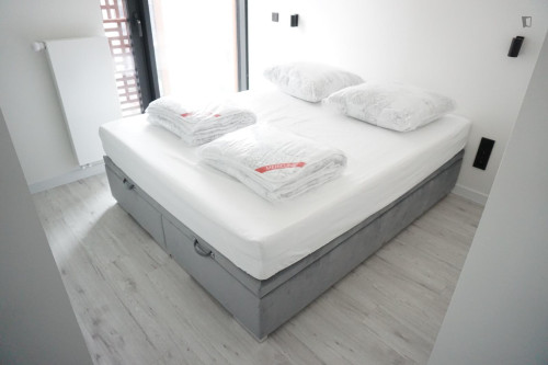 Luxurious 1-bedoom apartment in Czyste
