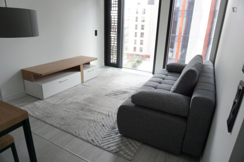 Luxurious 1-bedoom apartment in Czyste