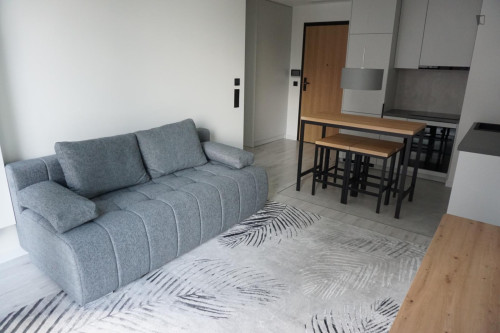 Luxurious 1-bedoom apartment in Czyste - Gallery - 8