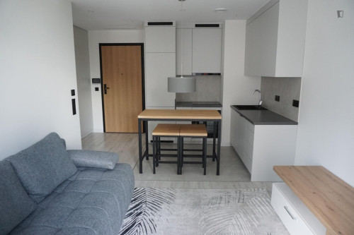 Luxurious 1-bedoom apartment in Czyste - Gallery - 5