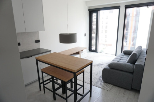 Luxurious 1-bedoom apartment in Czyste