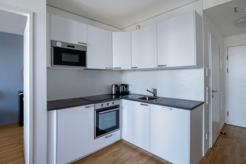 Charming 1-bedroom flat near the University of Economics and Business - Gallery - 15