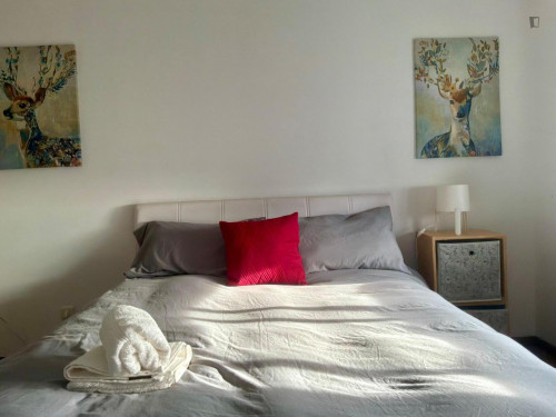 Exciting Double Bedroom close to Castelo Branco Train Station