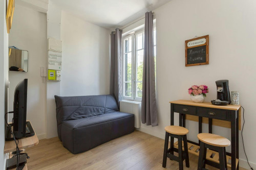 Rue Georges Gouy, Lyon