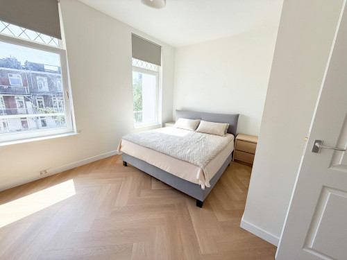 Ruysdaelstraat, Amsterdam