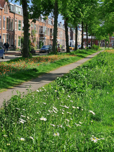 Croeselaan, Utrecht - Gallery - 5