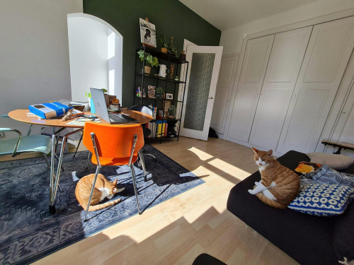 Croeselaan, Utrecht - Gallery - 6