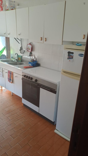 Single private bedroom, with balcony, in 3-bedroom apartment.  - Gallery - 5