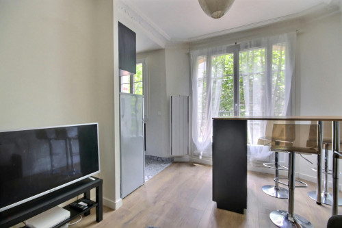 Rue du Docteur Paquelin, Paris - Gallery - 5