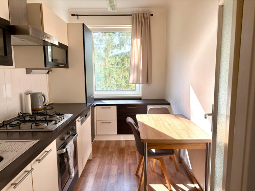 Plankenbüchlergasse, Vienna - Gallery - 5