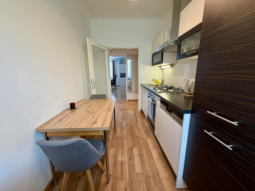 Plankenbüchlergasse, Vienna - Gallery - 6
