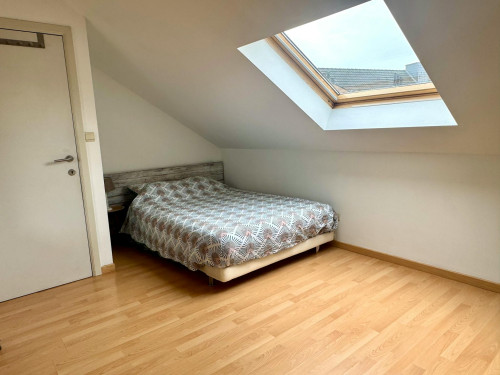 Rue du Roetaert, Uccle - Gallery - 6