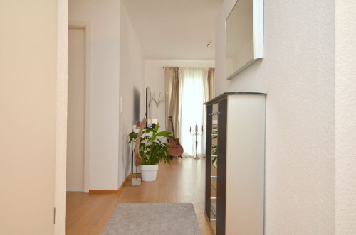 Modern spacious apartment near city center