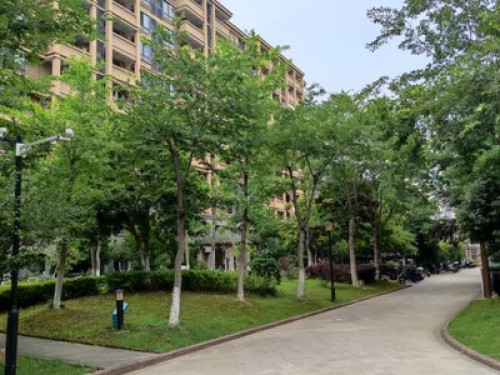 WEST LAKE IN HANGZHOU